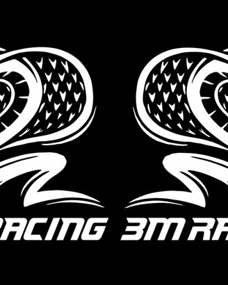 Coppia adesivi 3M racing con cobra colore a scelta