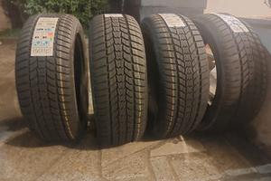 Gomme Invernalii
