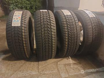 Gomme Invernalii