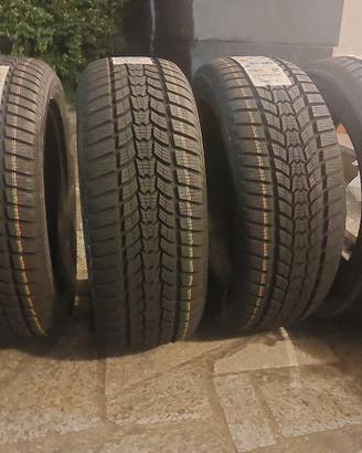Gomme Invernalii