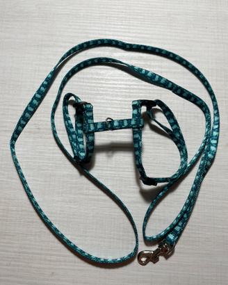 Pettorina con guinzaglio per gattino