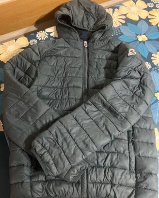 Piumino invicta