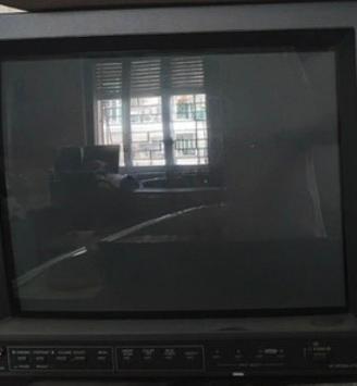 1 Monitor CRT Professionale JVC