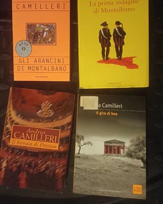 Libri di Camilleri