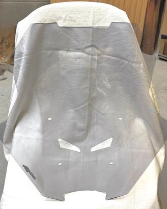 Cupolino ERMAX SPORT per Honda Forza 750
