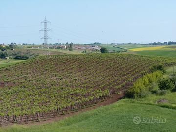Terreno Agricolo di Pregio a Roma Sud - 10 ettari