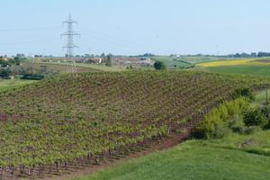 Terreno Agricolo di Pregio a Roma Sud - 10 ettari