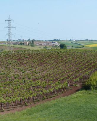 Terreno Agricolo di Pregio a Roma Sud - 10 ettari