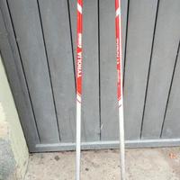bastoncini per sci