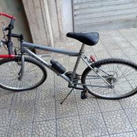 bici - Biker-Extreme