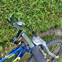 bicicletta olimpia