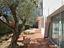 Immagine 17