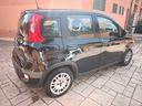 fiat-panda-1-0-firefly-s-s-hybrid-incidentata