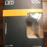 Lampadina Led 100w - attacco E27