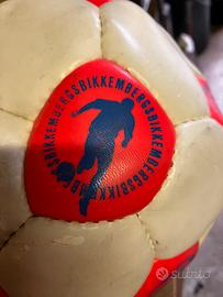 Pallone Bikkemberg