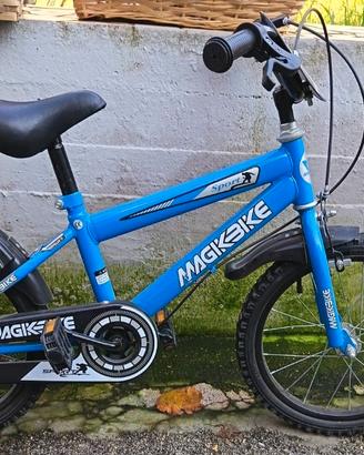 bicicletta