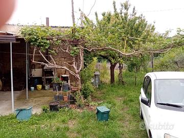 Terreno con casetta cat. A3 e pozzo
