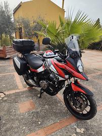 Suzuki v strom