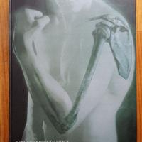 Libro Anatomia Umana, Martini, Timmons, Tallitsch