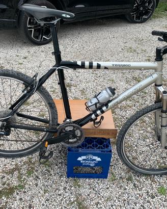 Bicicletta moutain bike