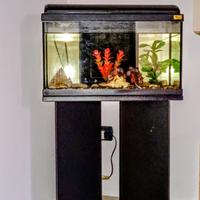 Acquario Aquatlantis