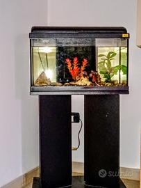 Acquario Aquatlantis