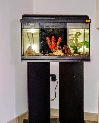 Acquario Aquatlantis