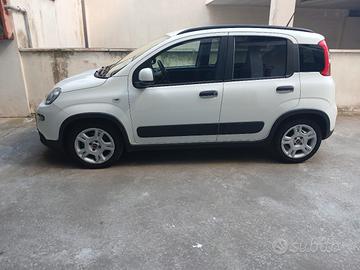 panda