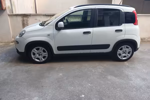 panda