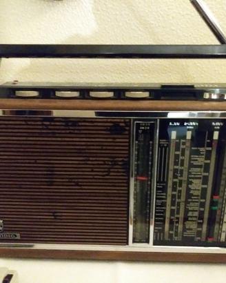 Ricevitore Multibanda Grunding Satellite 6001  