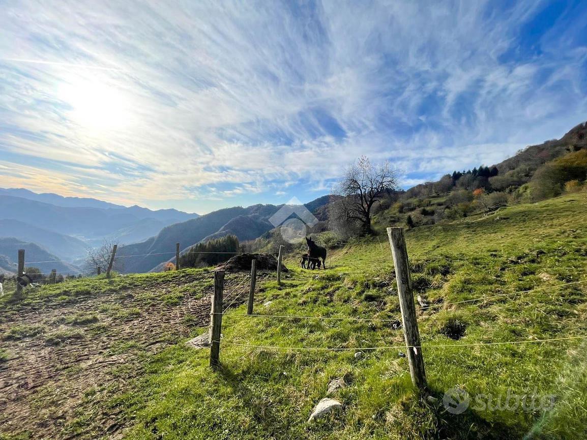 TERRENO A LAVENONE - Vista 3