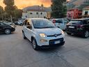 fiat-panda-1-0-firefly-s-s-hybrid-city-life