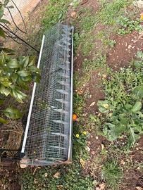 gabbia per galline