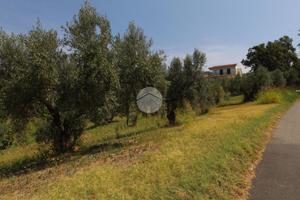 TER. RESIDENZIALE A MONTALTO UFFUGO