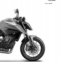 Manuali officina KTM  SM-C DUKE ITALIANO