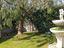 Immagine 17