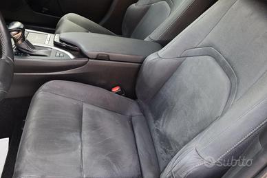 Lexus Hybrid Premium