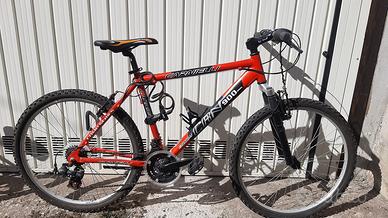 MTB Carnielli 900 Special