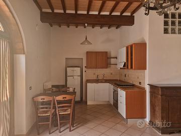 AP242 - Appartamento arredato con ingresso indipen