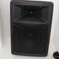 Cassa monitor amplificata