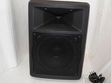 Cassa monitor amplificata