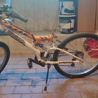 bicicletta 24