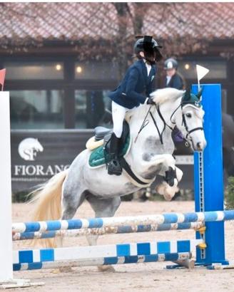Pony salto ostacoli e gimkane