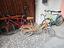Immagine 1