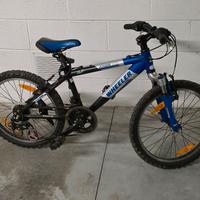 Bici da bambino 20 pollici