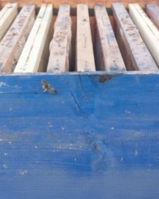 melari per apicoltura 15,00