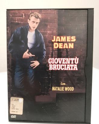 GIOVENTU' BRUCIATA - SNAPPER (DVD)