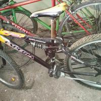 bicicletta Mountain bike Esperia