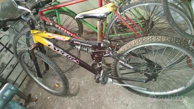bicicletta Mountain bike Esperia