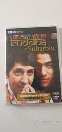 THE BUDDHA OF SUBURBIA DVD